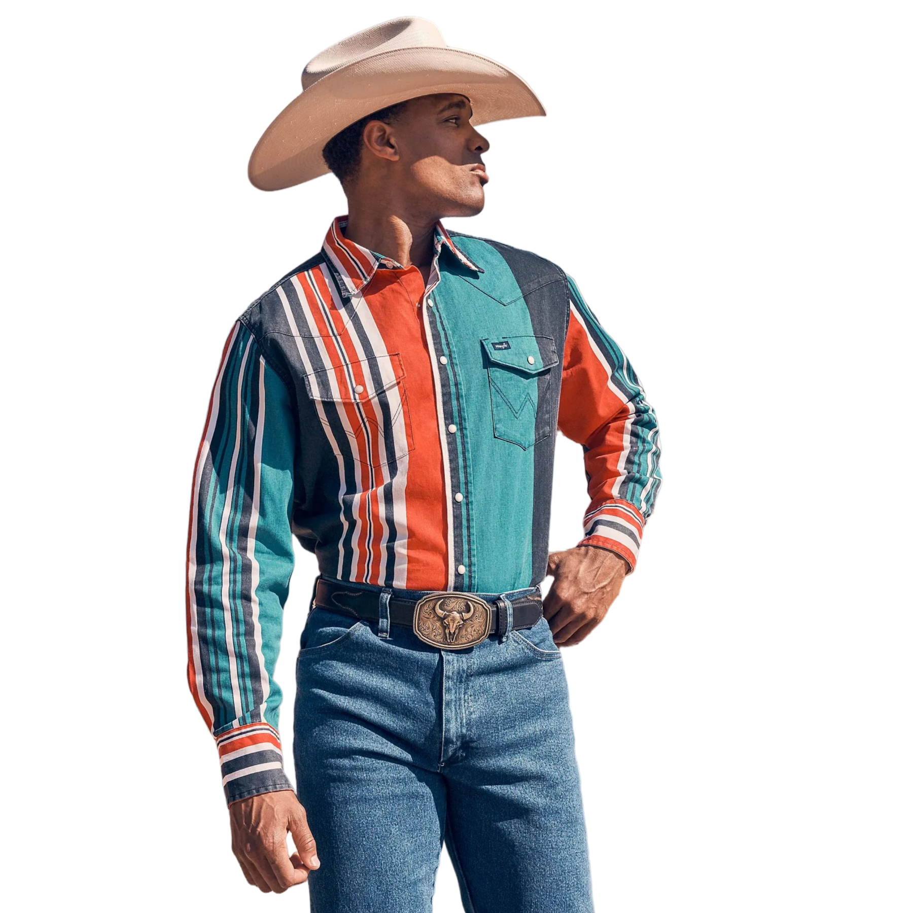 Vintage Western Striped Shirt