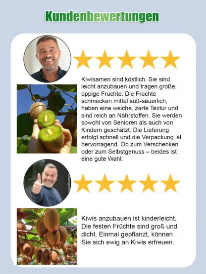 Neuseeländische Bio-Kiwi-Setzlinge – Winterhart & Ergiebig