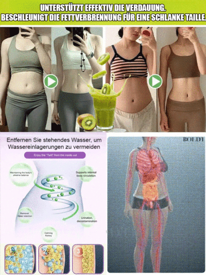 Neuseeländische Bio-Kiwi-Setzlinge – Winterhart & Ergiebig