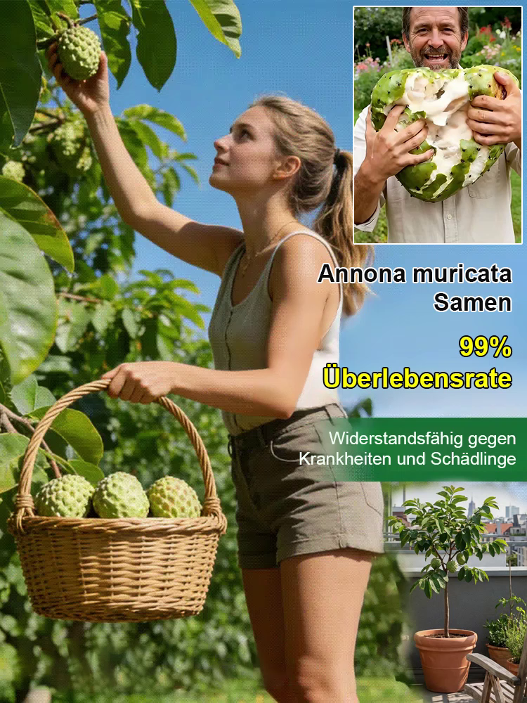 Custard Apple Baum – Exotische Frucht wie Eiscreme