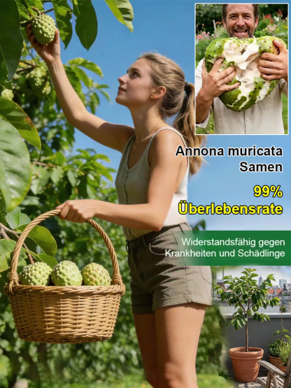 Custard Apple Baum – Exotische Frucht wie Eiscreme