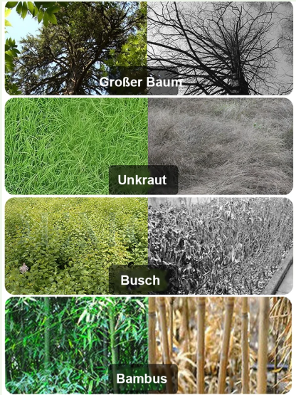 Baum-, Bambus- und Strauchwurzelentferner.