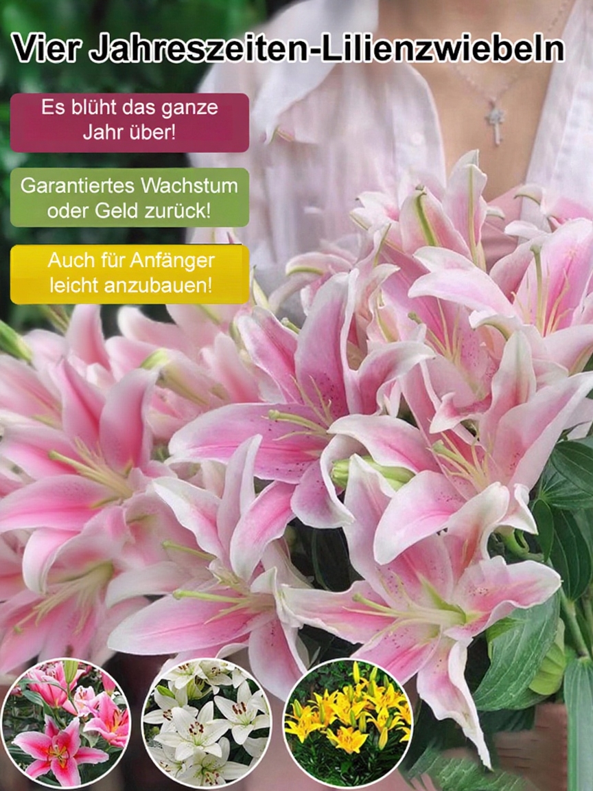 „Wahnsinns-Blume“ – Premium Ostlilie | Riesige Blüten & Edler Duft