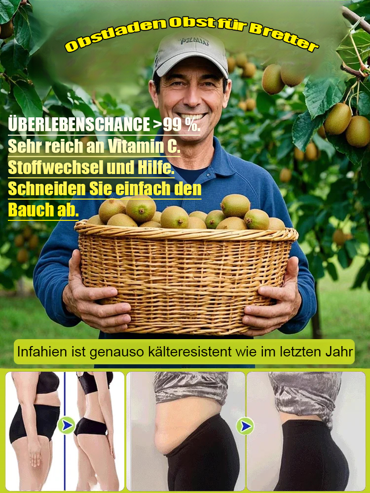 Neuseeländische Bio-Kiwi-Setzlinge – Winterhart & Ergiebig