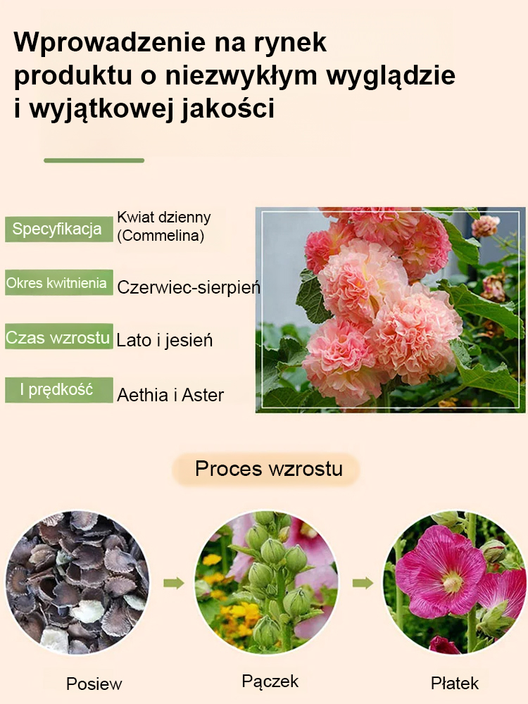 🌺Czy wyobrażałeś sobie kiedyś posadzenie w swoim ogrodzie morza kwiatów, które „sięgają chmur”?