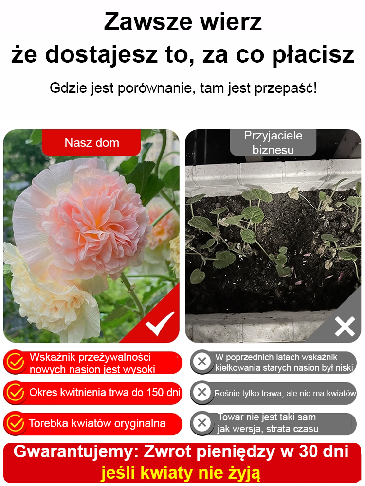 🌺Czy wyobrażałeś sobie kiedyś posadzenie w swoim ogrodzie morza kwiatów, które „sięgają chmur”?