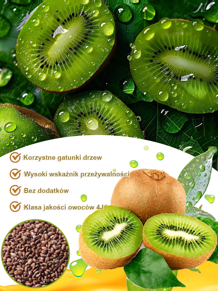 🔥 Jedna roślina = Niezliczone kiwi! 🔥 💥 Nowa odmiana odporna na zimno z Nowej Zelandii! 
