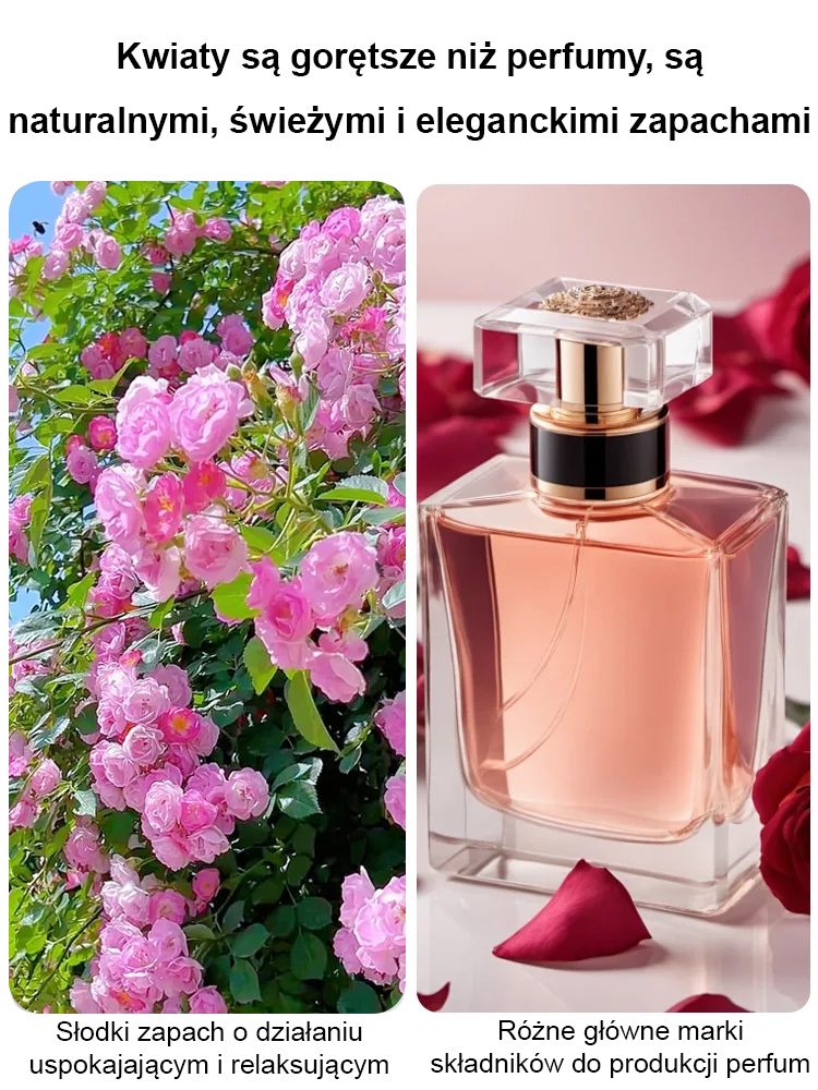 🌹Zrób romantyczną niespodziankę! Ręcznie wyhodowana ściana róż to najpiękniejsza ozdoba domu.