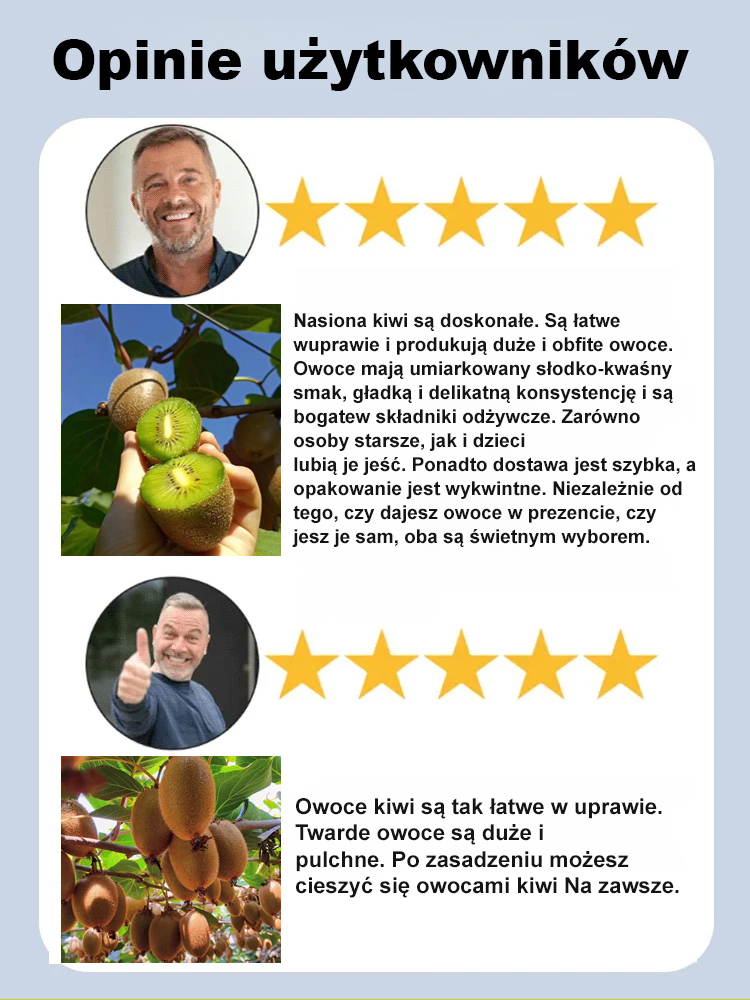 🔥 Jedna roślina = Niezliczone kiwi! 🔥 💥 Nowa odmiana odporna na zimno z Nowej Zelandii! 