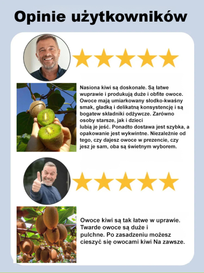 🔥 Jedna roślina = Niezliczone kiwi! 🔥 💥 Nowa odmiana odporna na zimno z Nowej Zelandii! 