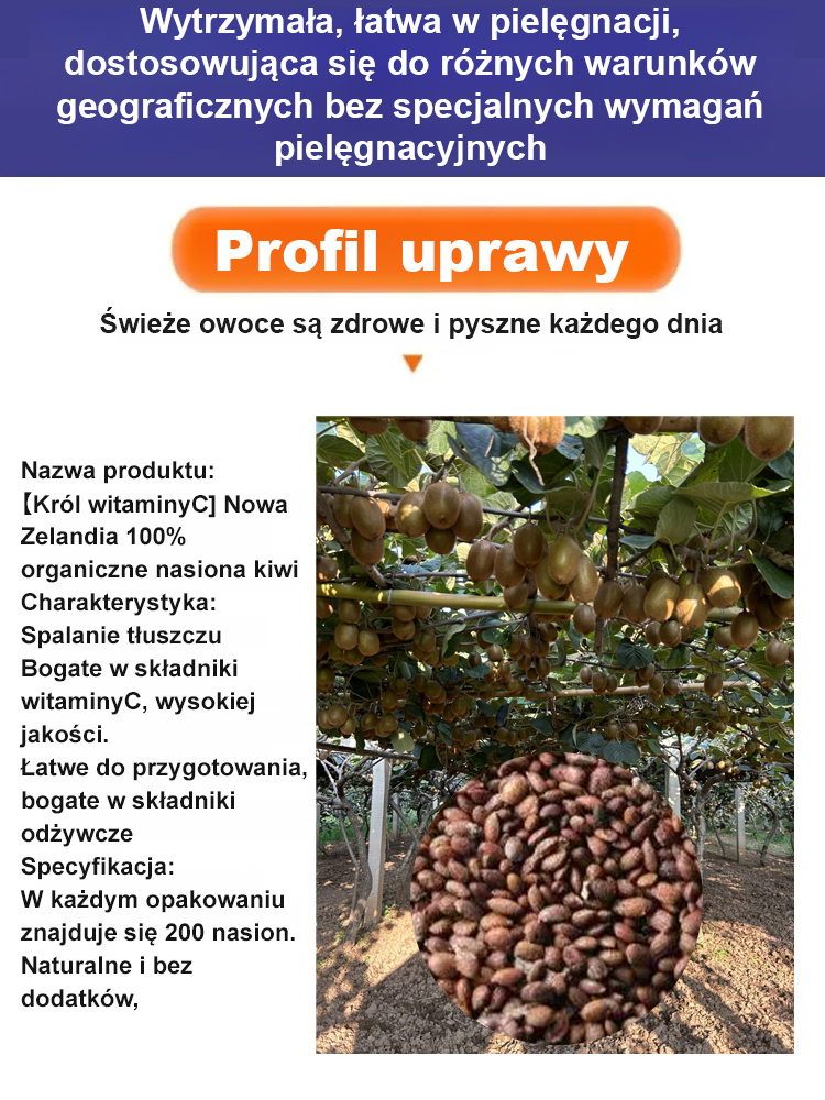 🔥 Jedna roślina = Niezliczone kiwi! 🔥 💥 Nowa odmiana odporna na zimno z Nowej Zelandii! 