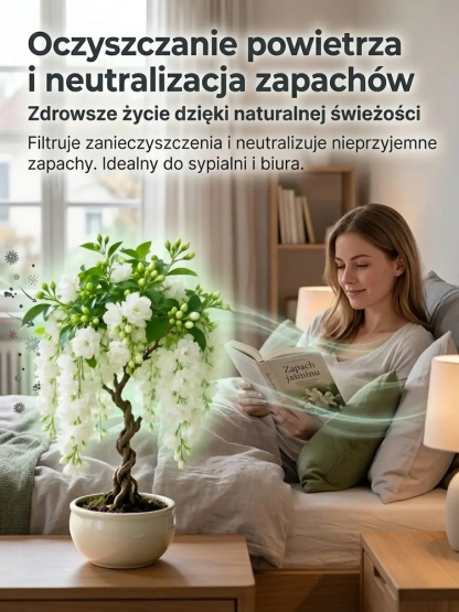 🌸 100% gwarancji przeżycia, rozkwitnięcie w ciągu 7 dni 🌸