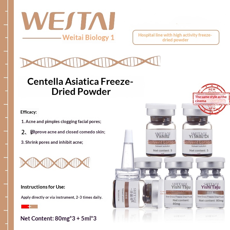 Professional Eyelash Tweezers & Natural Falsies Kit - Beginner-Friendly Cat Eye Wispy Spikey Lashes