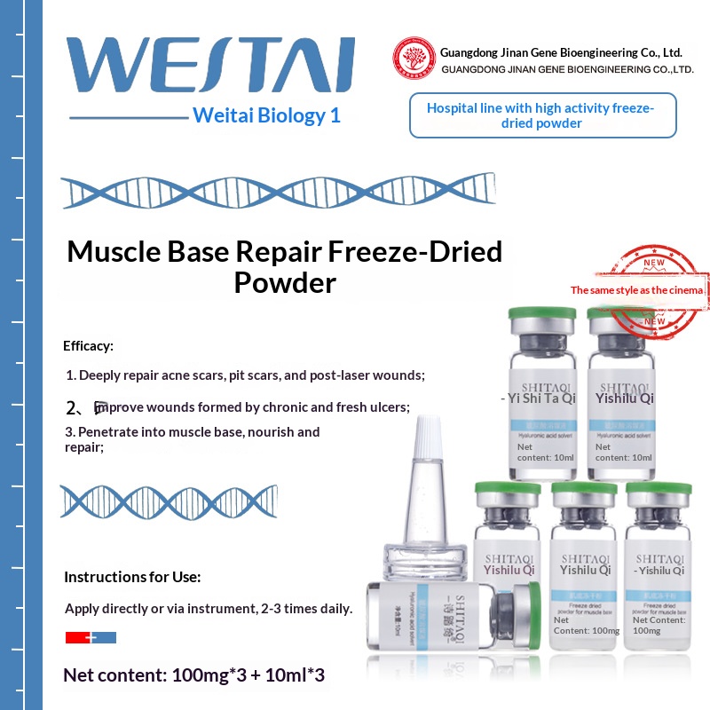 Professional Eyelash Tweezers & Natural Falsies Kit - Beginner-Friendly Cat Eye Wispy Spikey Lashes