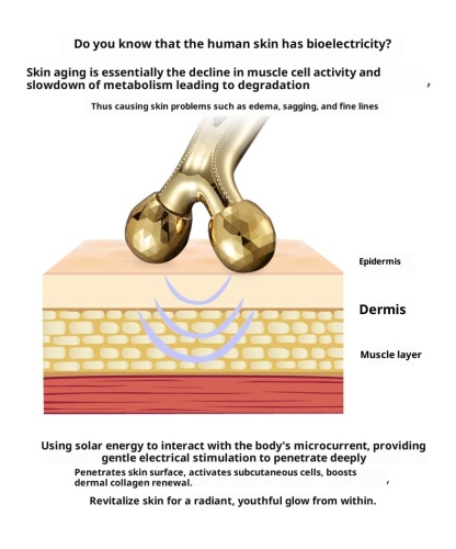 3D V-Lift Facial Roller - Mini Face Massager for Slimming, Skin Rejuvenation & Contouring