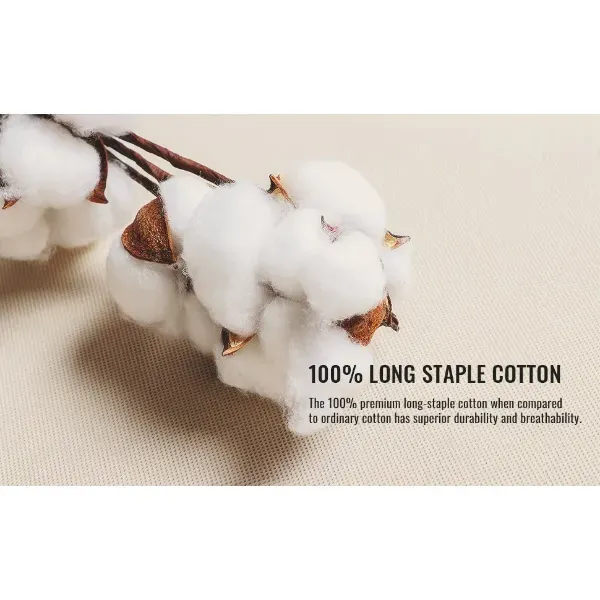 Women's Fall 2-Piece Set – Top & Wide-Leg Pants