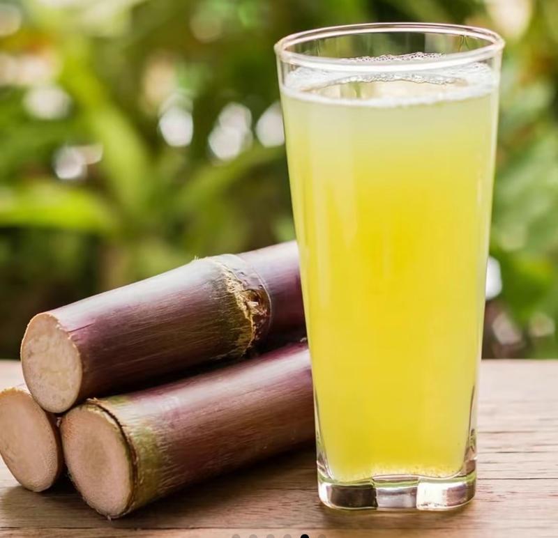 Sweet Harvest Starter Kit 🍃 Sugarcane Seeds