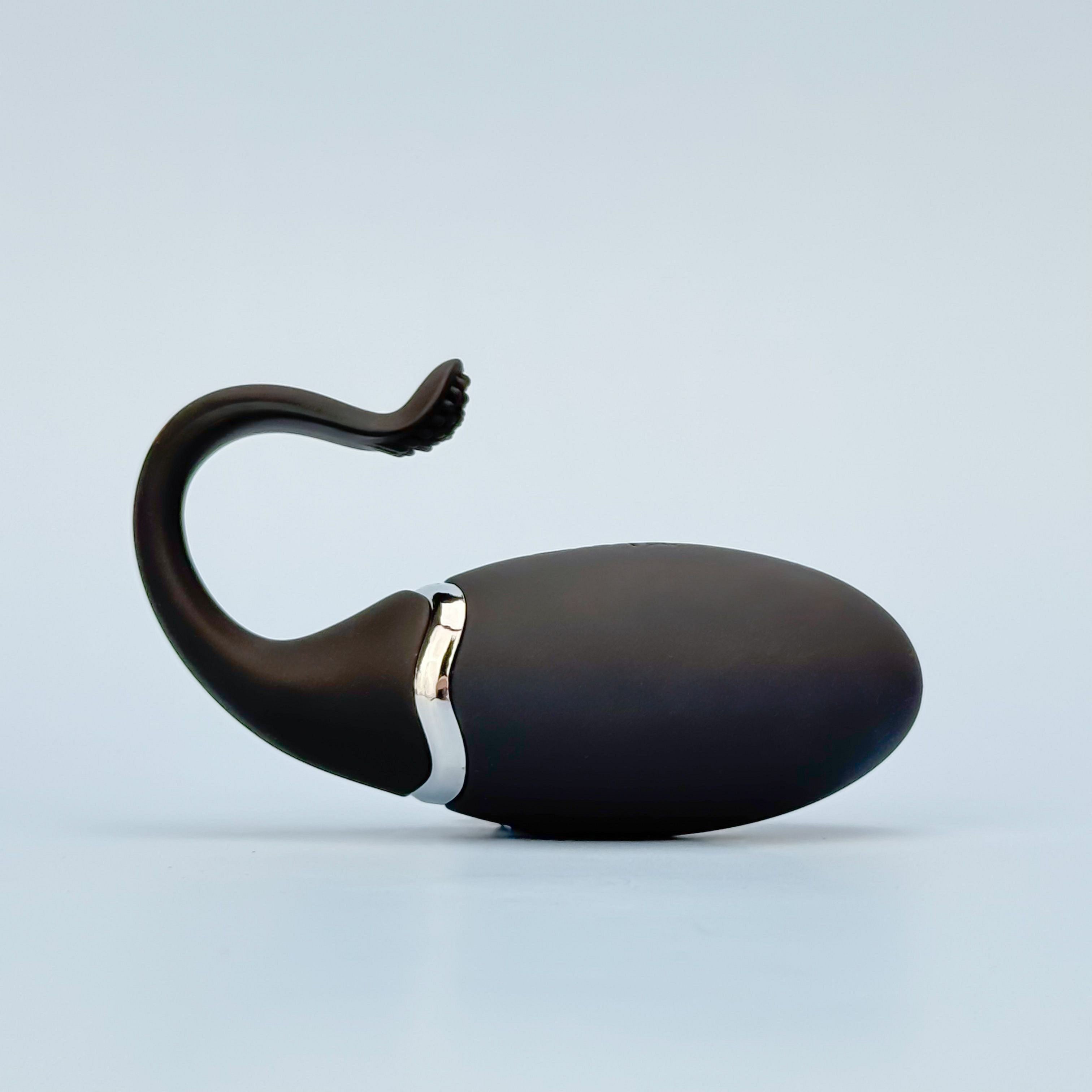 Forte Remote Control Egg Vibrator product image 5