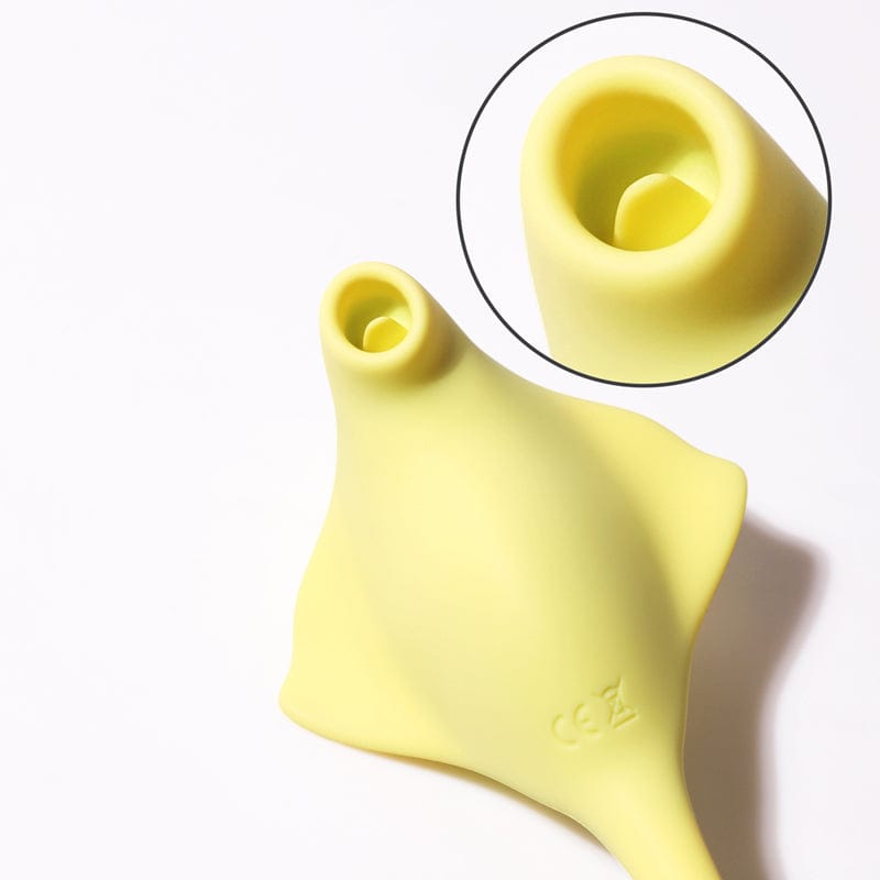 Product demonstration with electric control interface