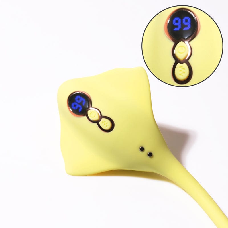 Packaging showing quiet 60-decibel operation specification