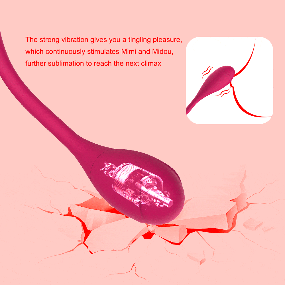 Vibrator displaying multiple vibration patterns and controls
