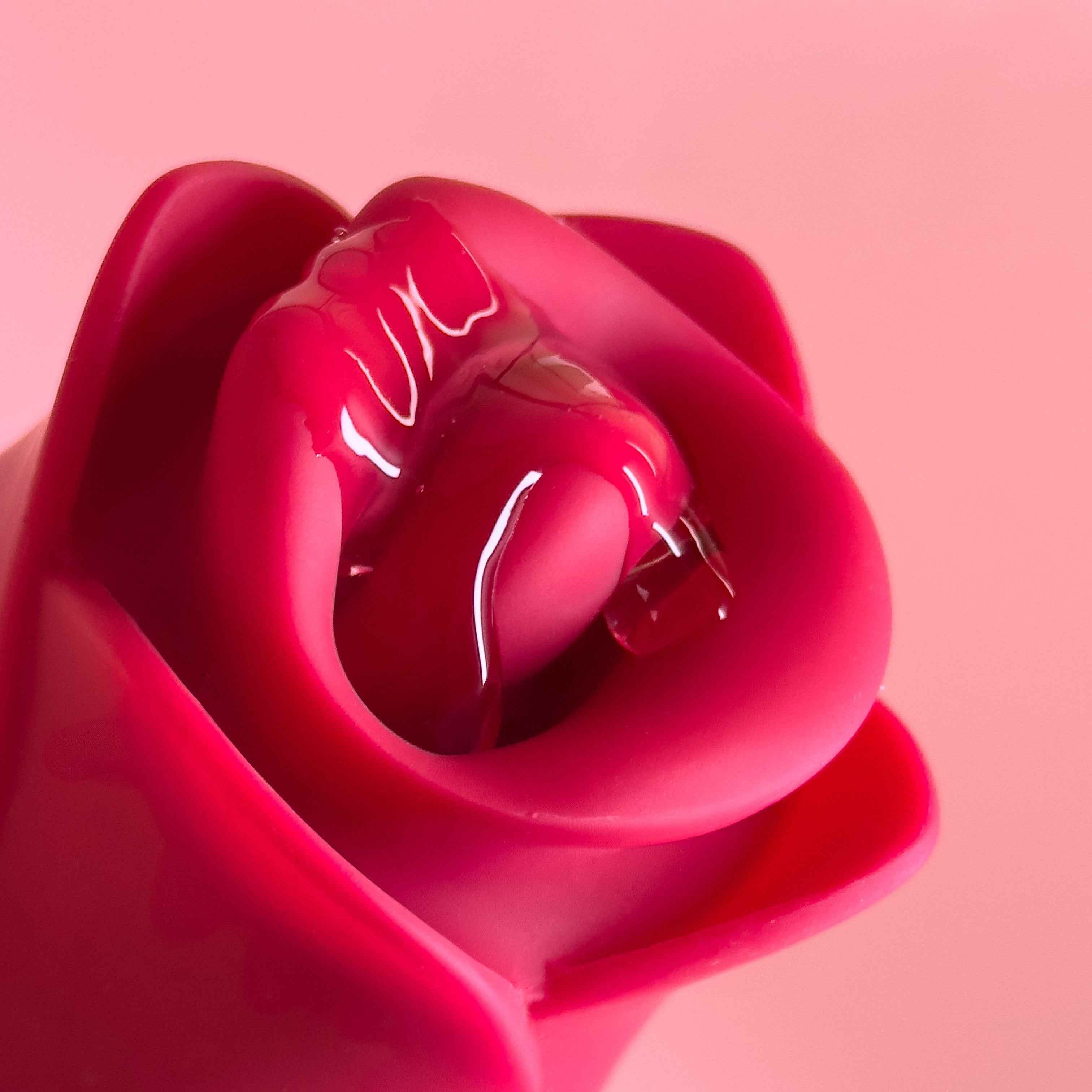 Flaming Lips Rose Vibrator