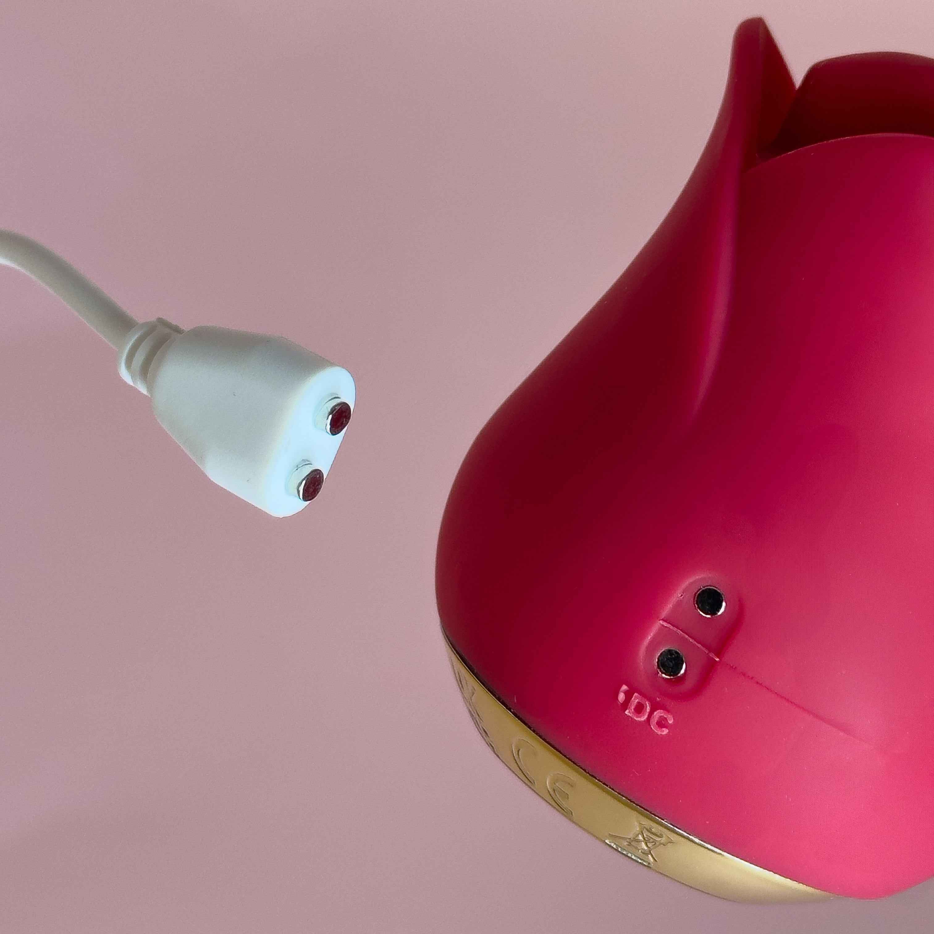 Flaming Lips Rose Vibrator