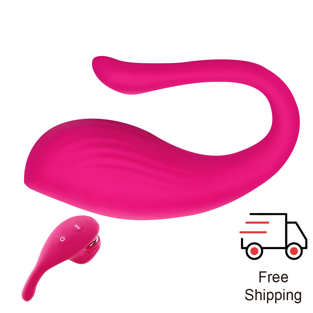 PantyPulse App & Remote Vibe Panties Dual Motor Wearable