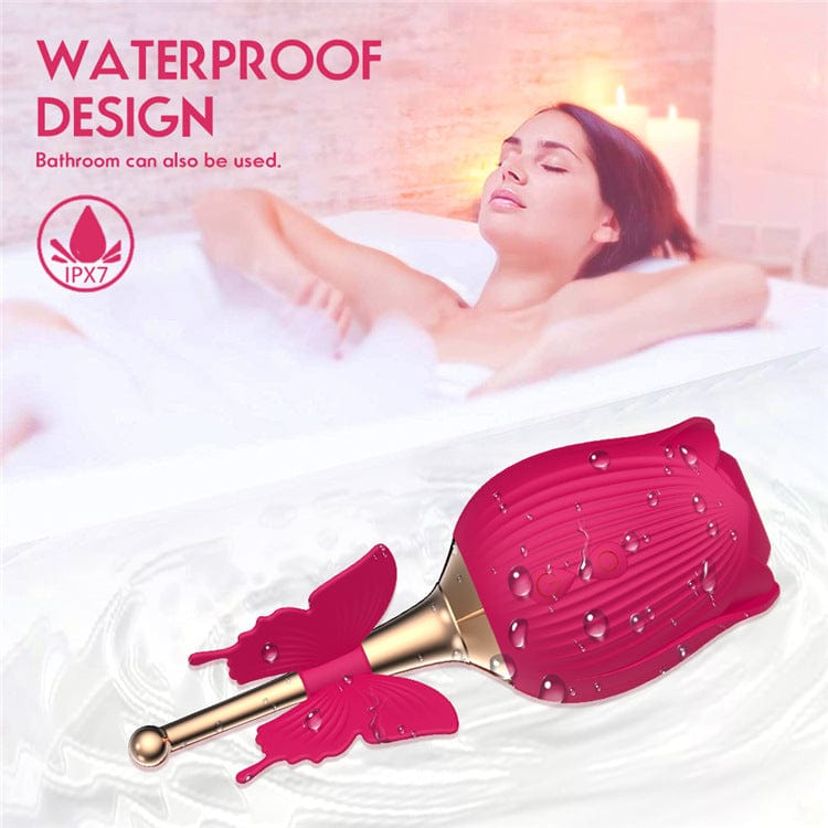 Vibrator displaying USB magnetic charging port