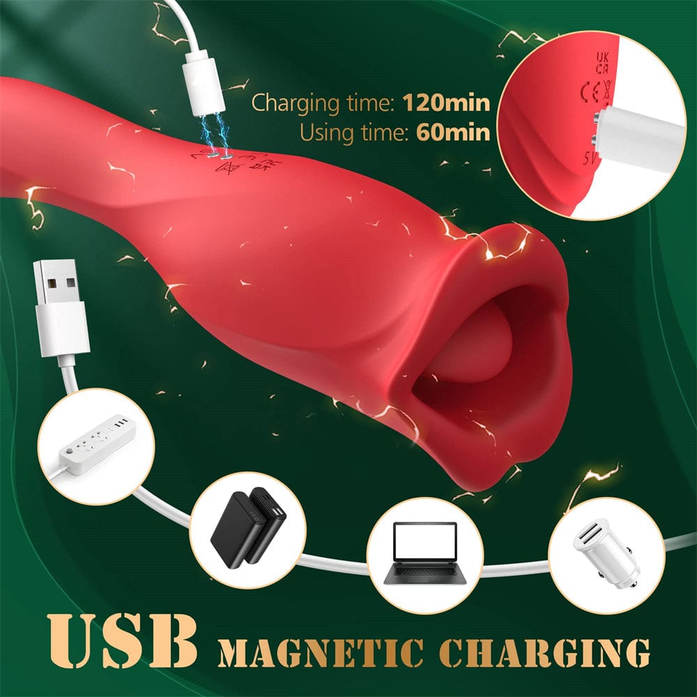 Vibrator displaying multiple vibration modes and USB charging port