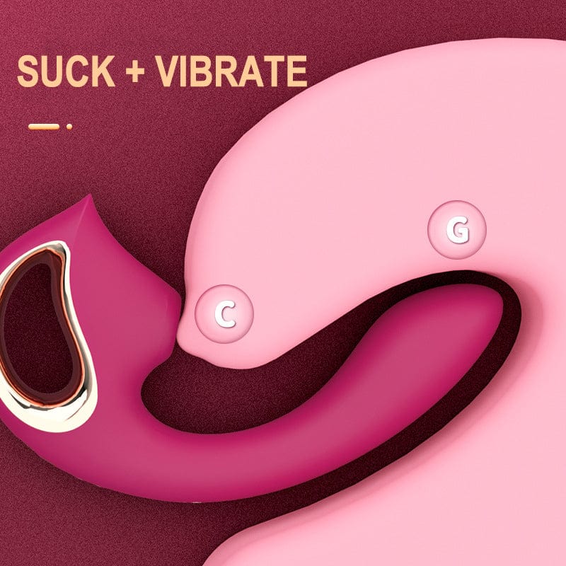 Dual-action vibrator showing suction and vibration functions