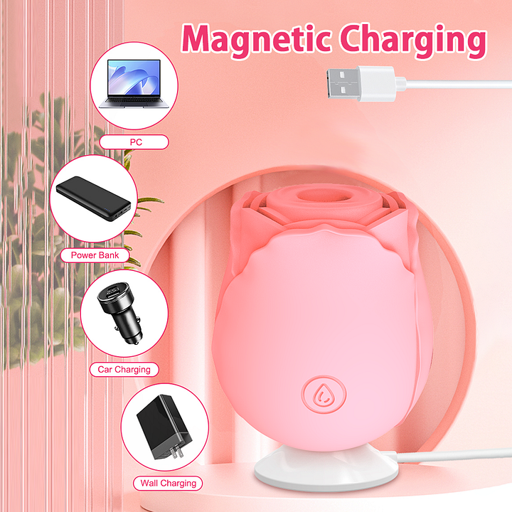 Elegant pink rose adult toy with charging port and cleaning instructions