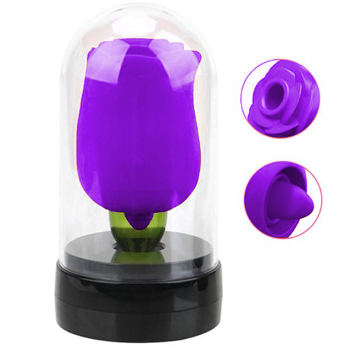 Rose toy in discreet packaging with confidential shipping box