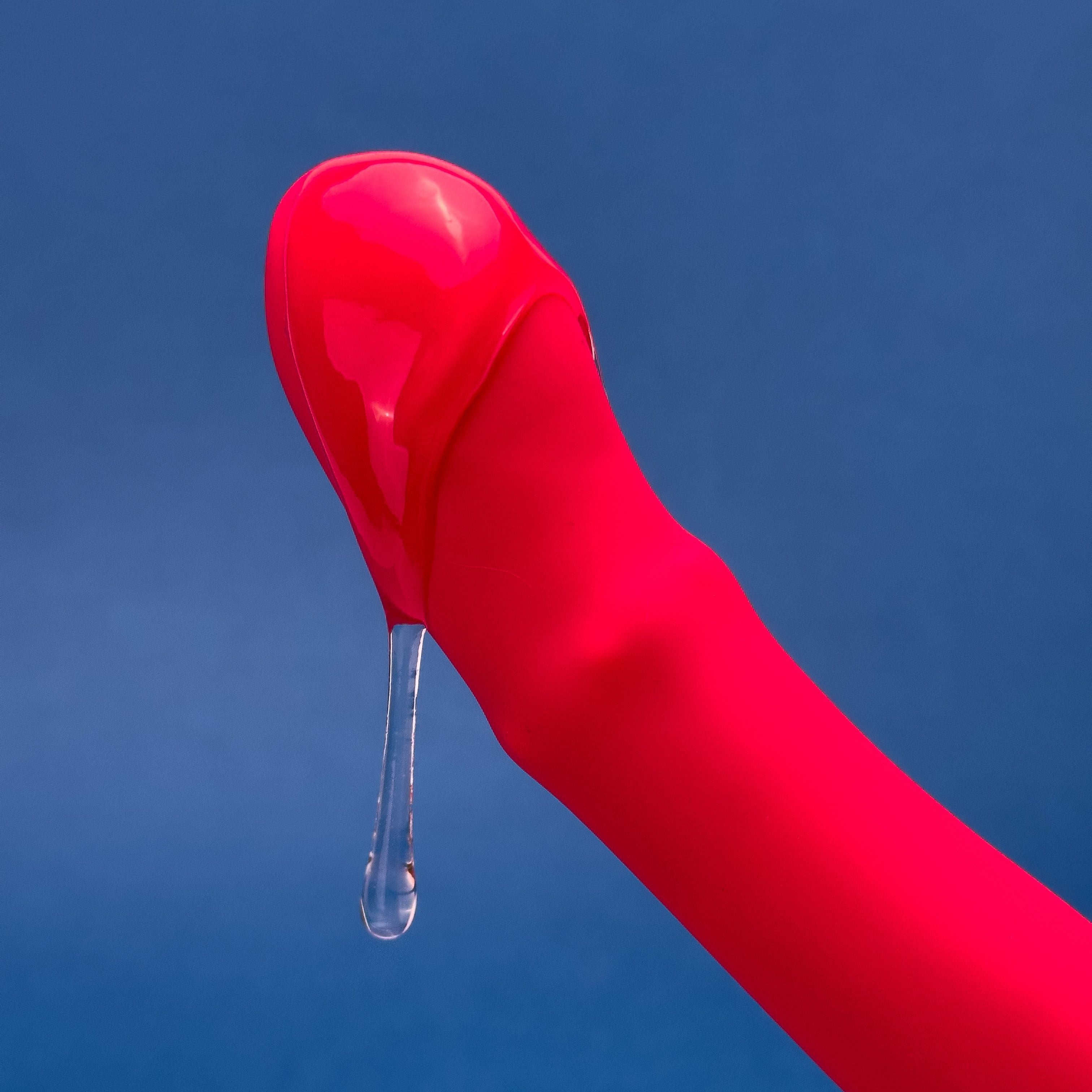Dulcet Thrusting Vibrator product image 4