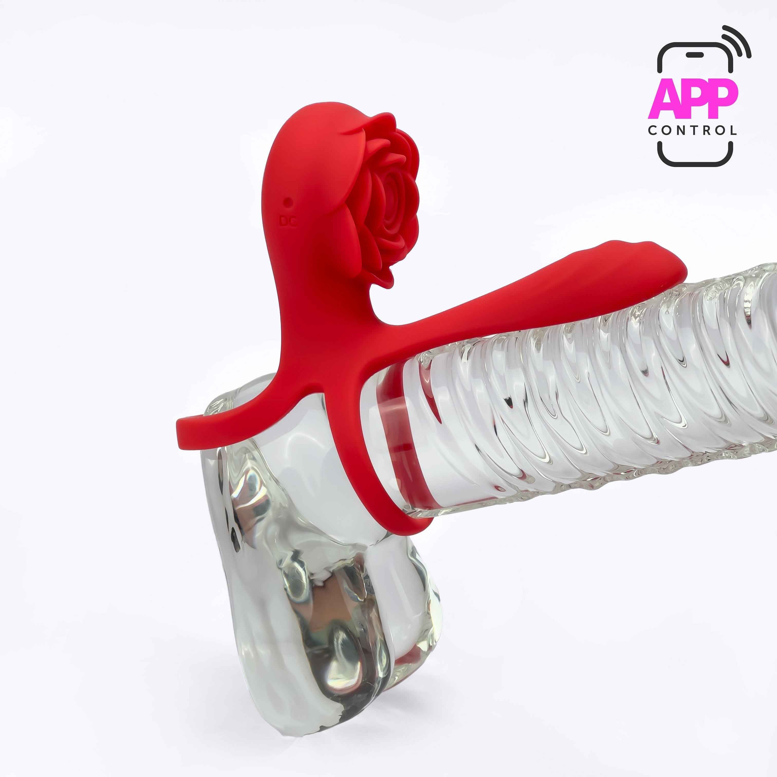 Connection Dual Romance Rose Vibrating Cock Ring