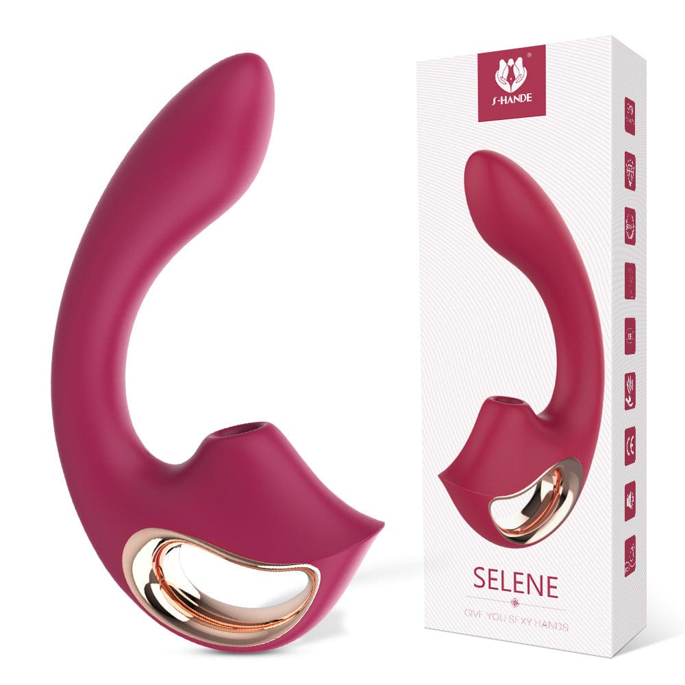 Dual-action vibrator showing suction and vibration functions