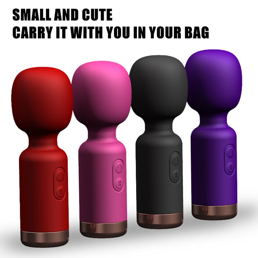 Vibrator with charging cable and storage pouch included