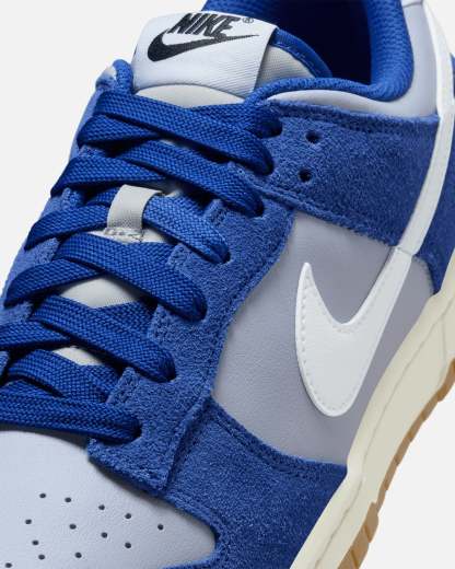 Nithtke Dunk Low Retro SE Grey