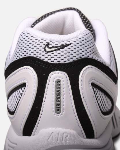 Nithtke Air Pegasus 2005 White/Metallic