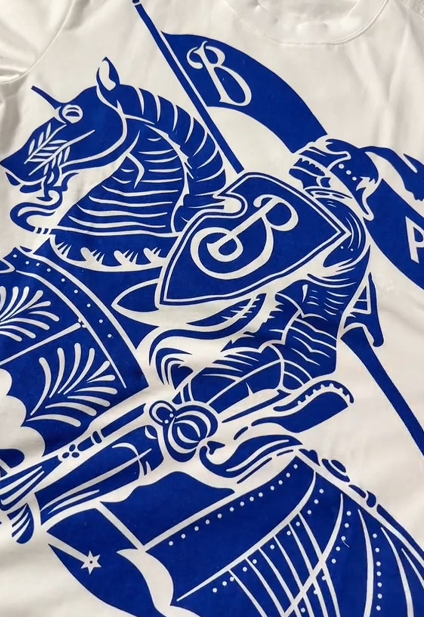 Blue knight T-shirt & shorts