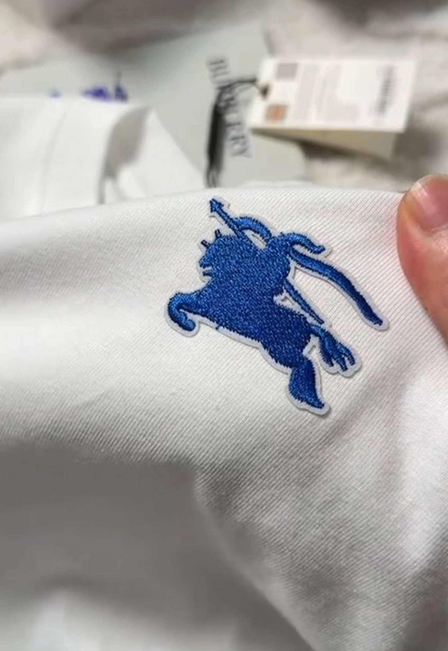 Blue warhorse T & blue shorts