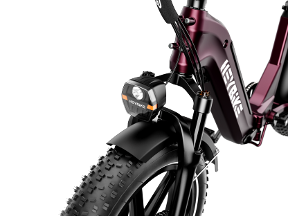 Bestseller Fat Tire Ebikes