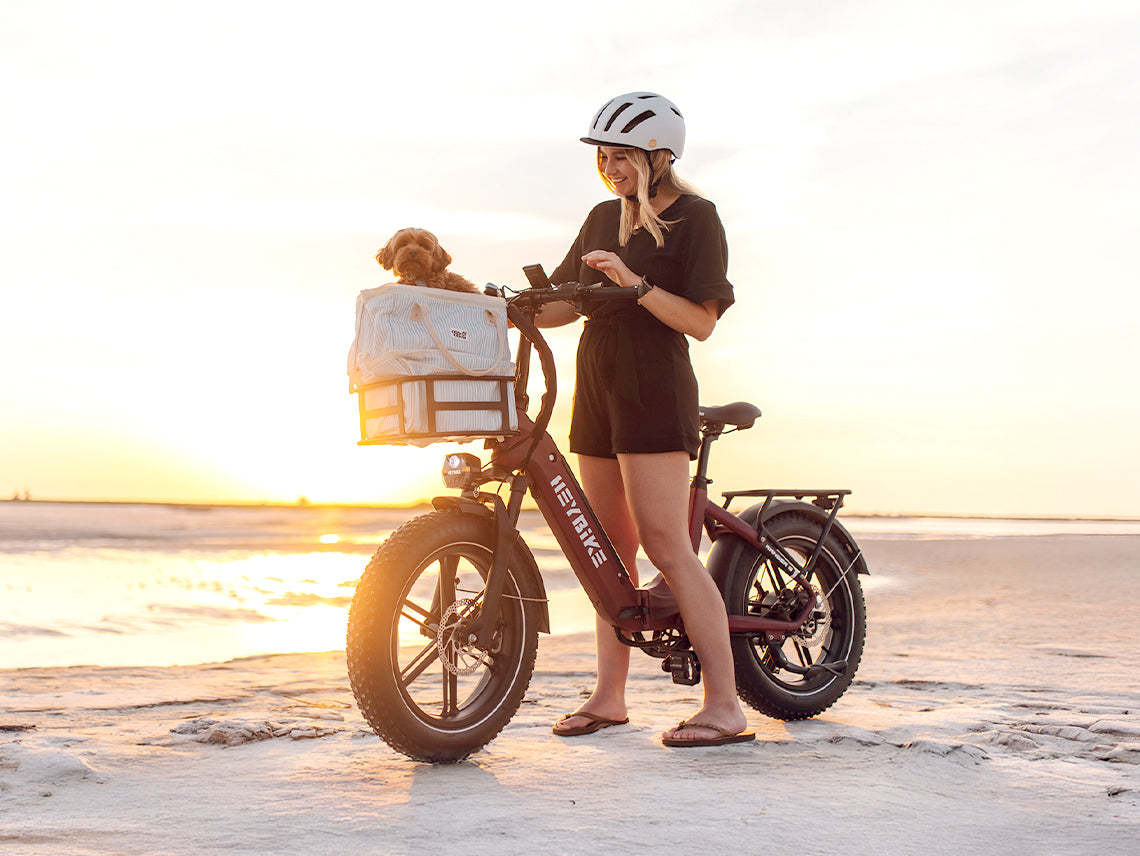 Bestseller Fat Tire Ebikes