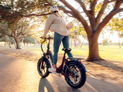 Bestseller Fat Tire Ebikes