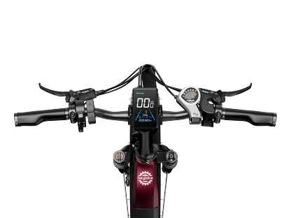 Bestseller Fat Tire Ebikes