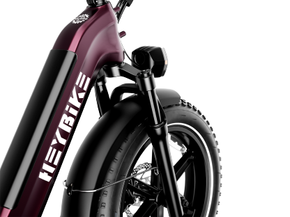 Bestseller Fat Tire Ebikes