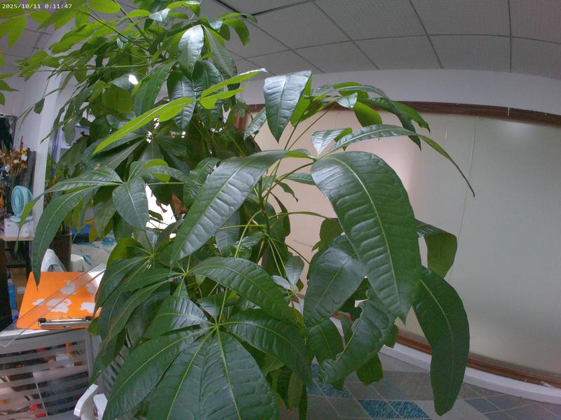 DarlingCase 4K Ultra HD Pocket Action Camera 8in1 with 270° Rotatable Lens 1.33" Display EIS Stabilization TF Card Slot 32GB Memory Card Included Black Audio Charging Wireless Video Transfer Compact Design