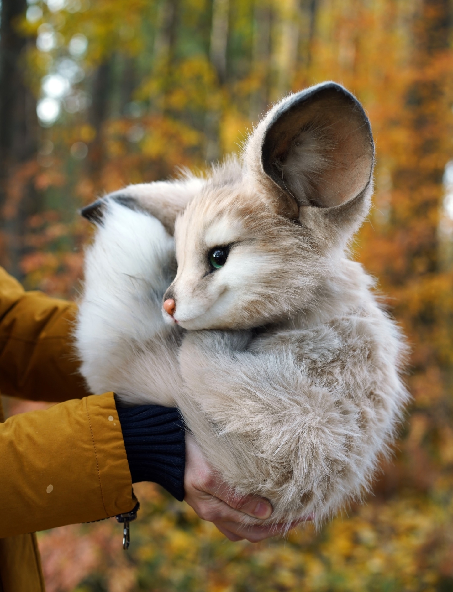 Mist Thicket Fox