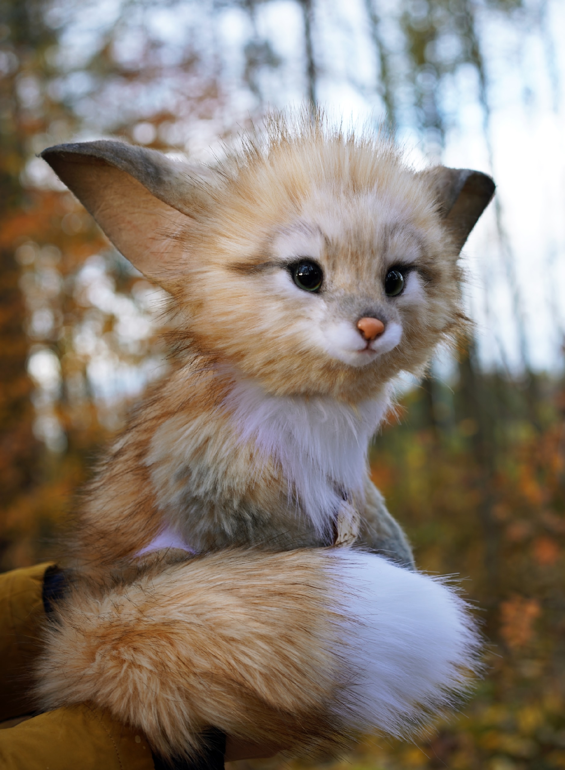 Amber Wood Fox