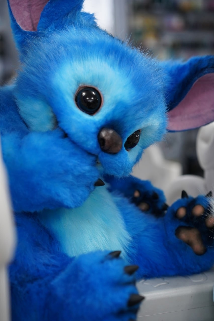Stitch & Scrump